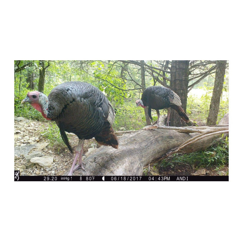 Browning Trail Cameras Dark Ops Pro X 1080 Motion-Activated Camera Bundle
