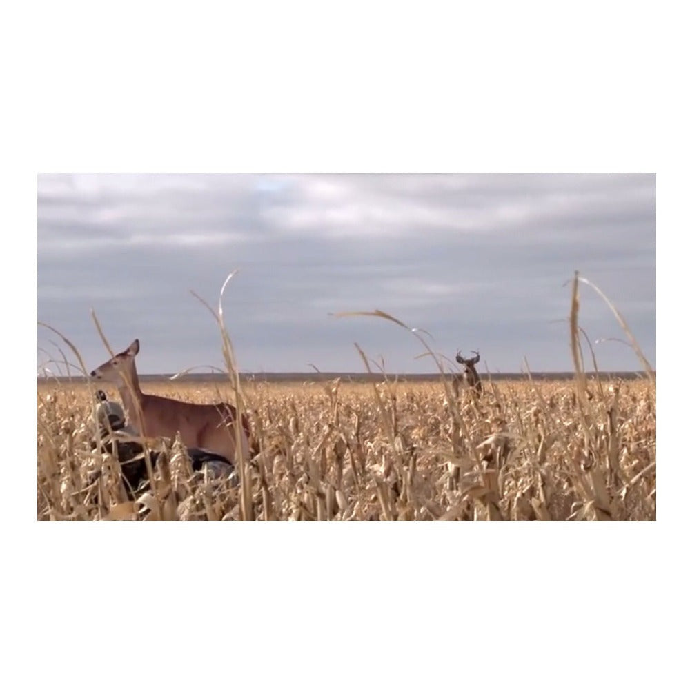 Montana Decoy Dreamy Doe Whitetail Deer Decoy