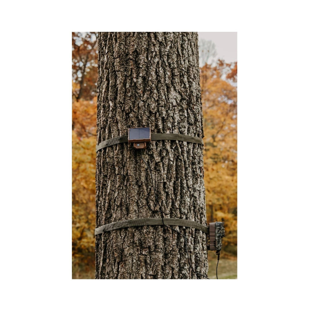 Browning Trail Cameras Universal Solar Camera Power Pack (2-Pack) with Card Reader Bundle