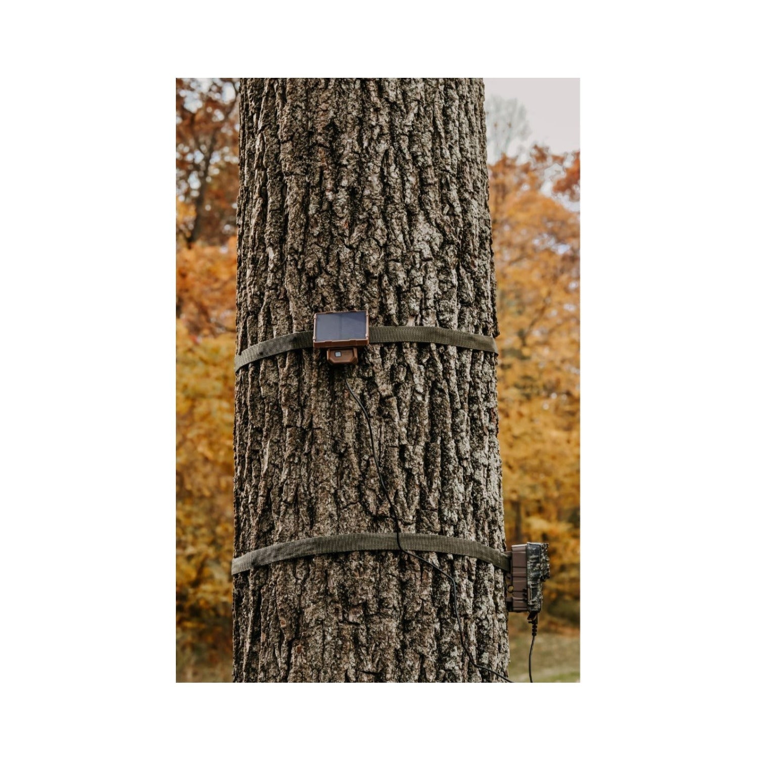 Browning Trail Cameras Universal Solar Camera Power Pack (2-Pack) with Card Reader Bundle