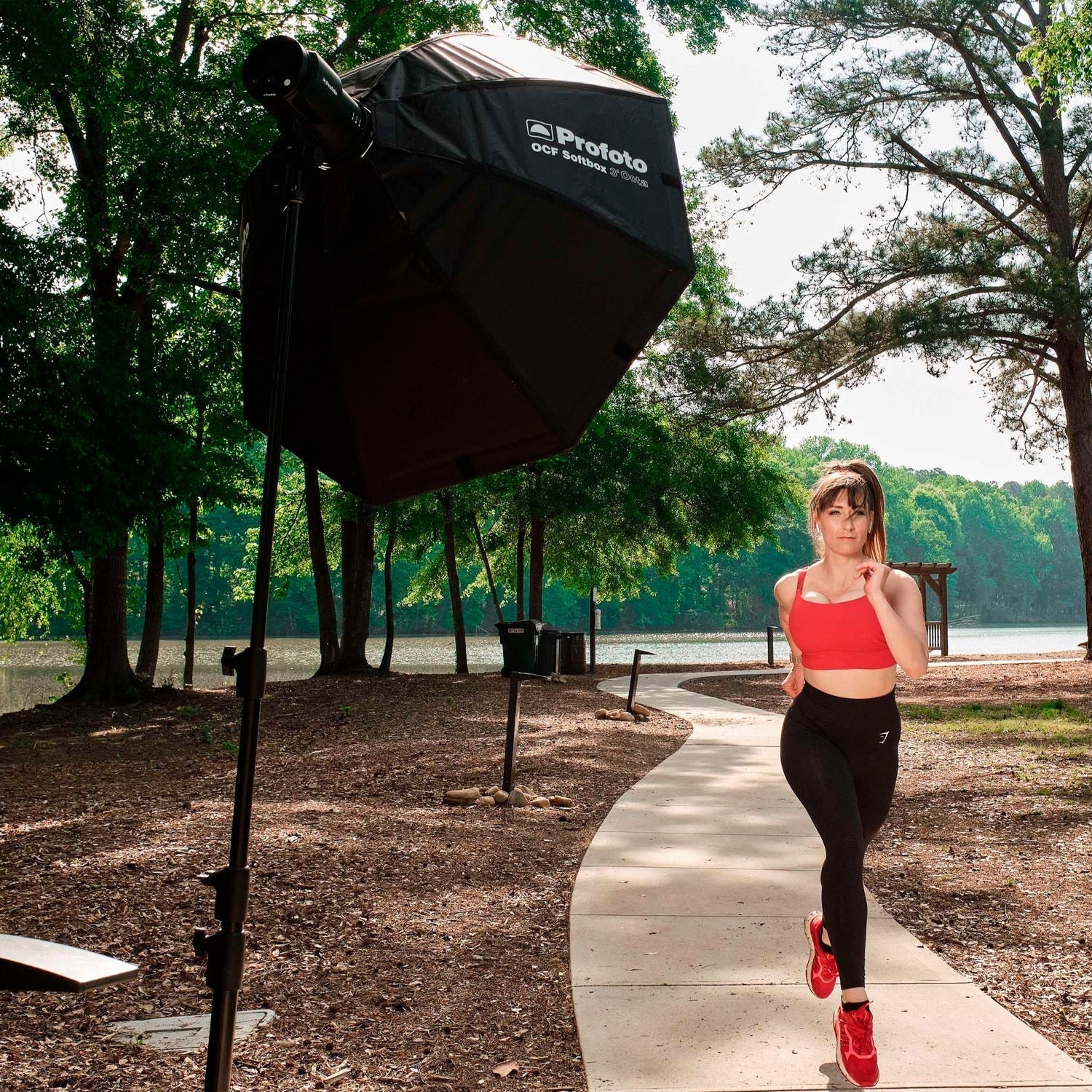 Profoto L600D LED Light 600W Flicker-Free Light with Softbox 3 ft. Octa Silver