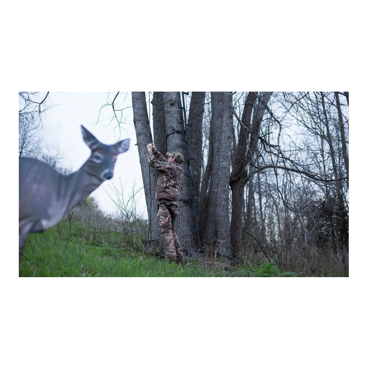 Montana Decoy Estrus Betty Whitetail Deer Decoy (Peeing Doe) for Bow Hunting