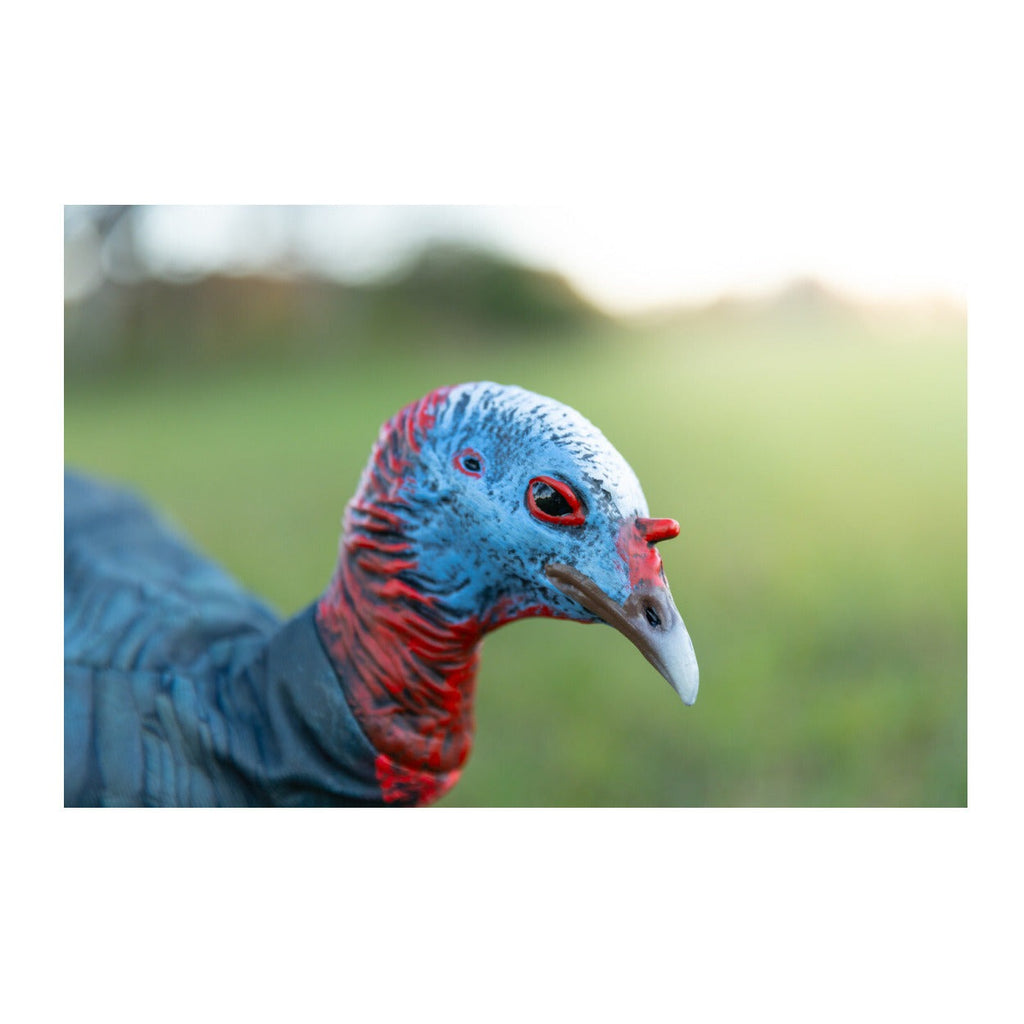 Montana Decoy Jake Purr-Fect XD3 Realistic Turkey Decoy with Magnetic Leg Pole