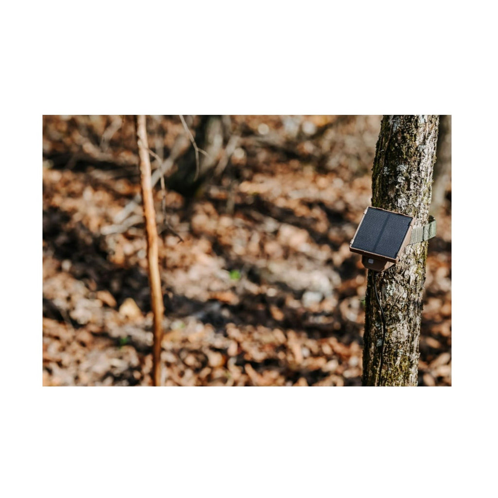 Browning Trail Camera Defender Wireless Pro Scout Max HD-DV (2-Pack) Bundle