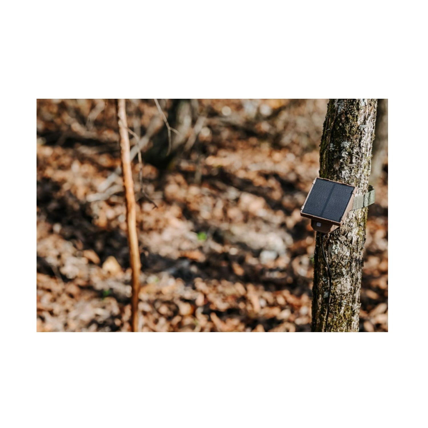 Browning Trail Camera Defender Wireless Pro Scout Max HD-DV (2-Pack) Bundle