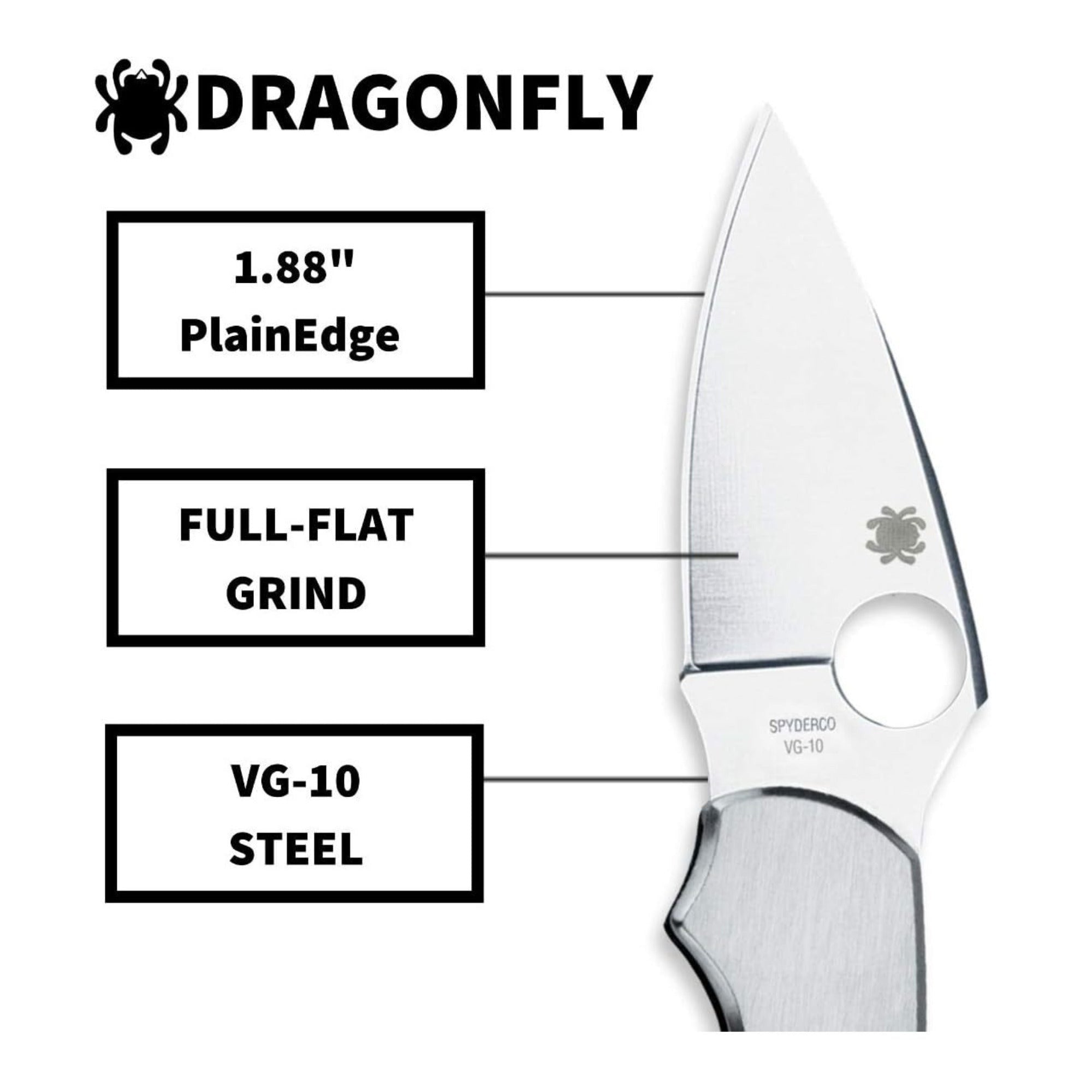 Spyderco Dragonfly Folding Knife - VG-10 PlainEdge Blade, Stainless Steel Handle, Back Lock