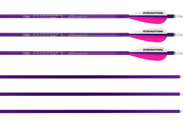Genesis Archery Easton XX75 30 in NASP Arrows for Genesis Bows (6-pack, Purple)