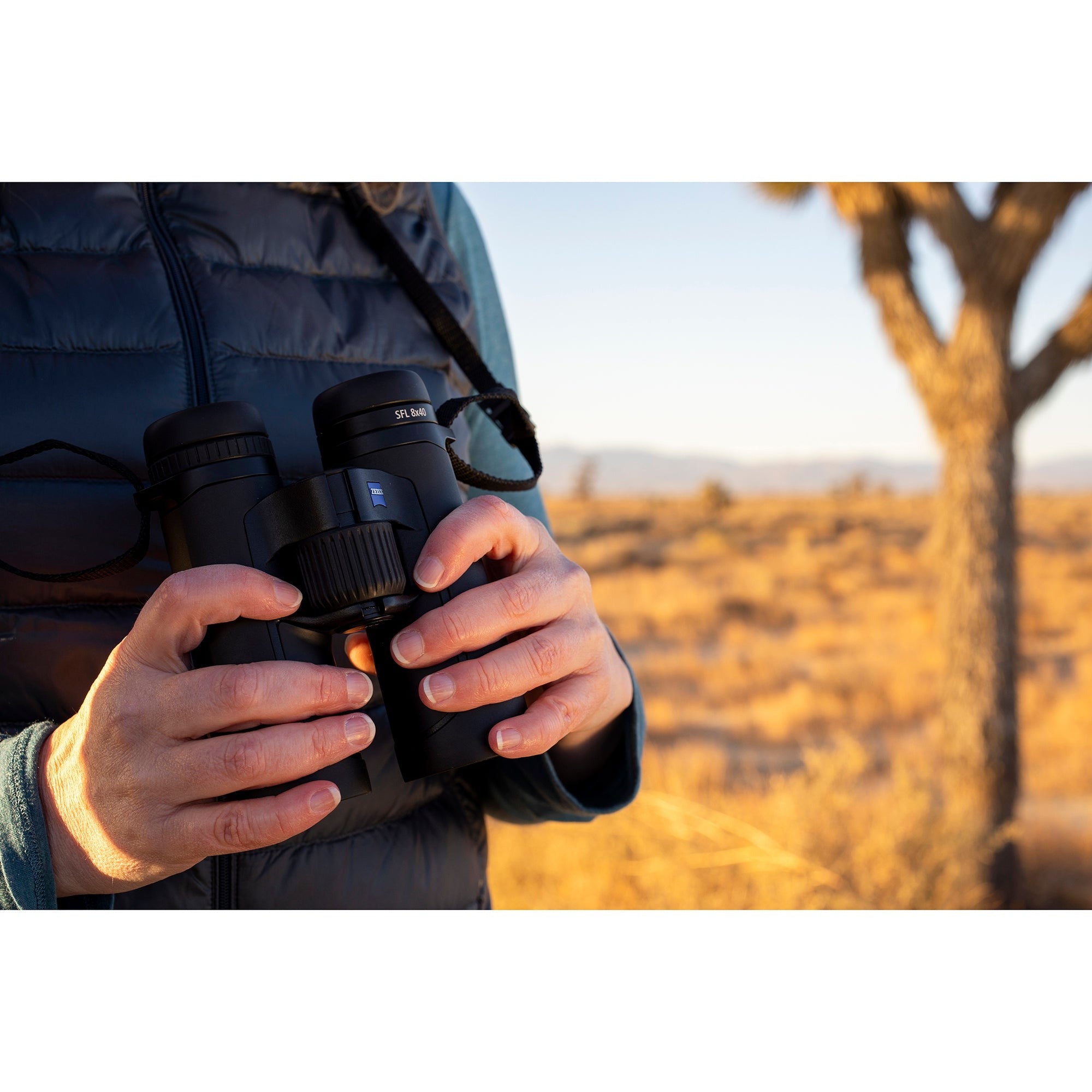 ZEISS SFL 8×40 Binoculars (Used)