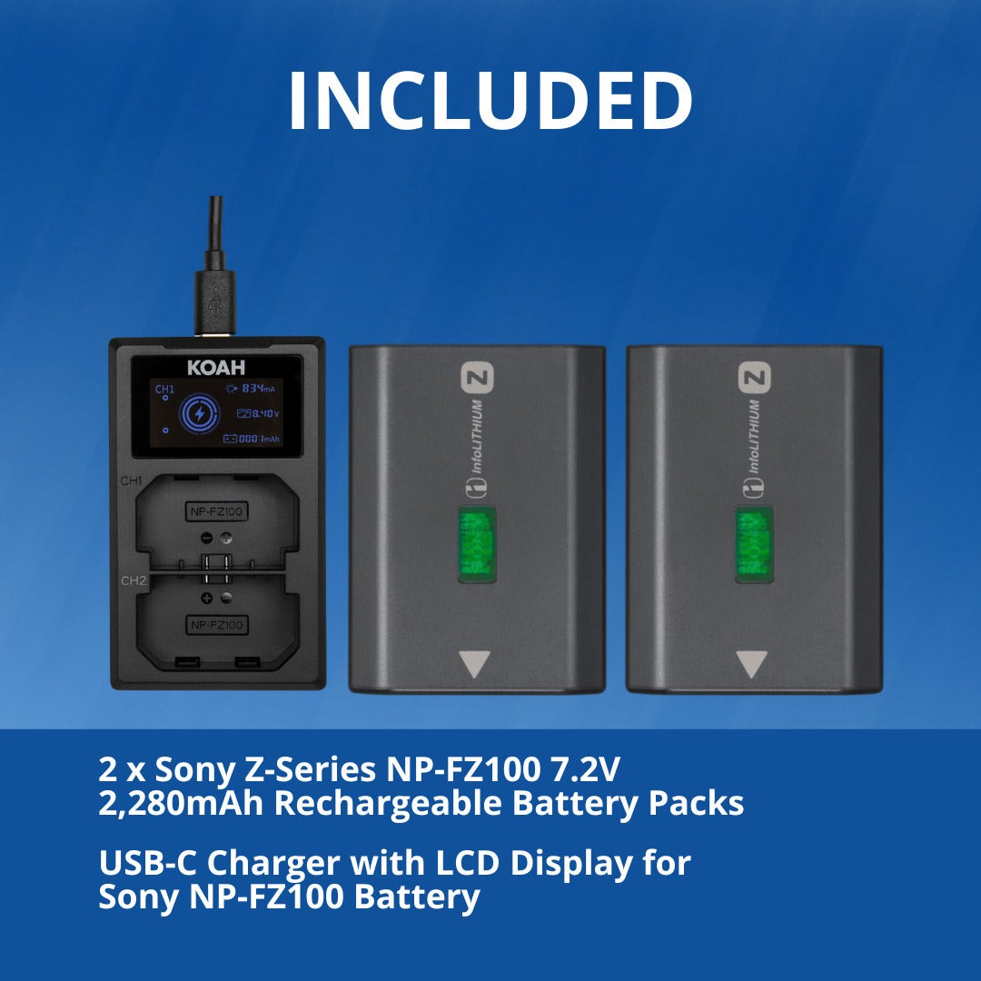 Sony NPFZ100 Z-Series Rechargeable Battery (Two-Pack) with Dual Charger Bundle