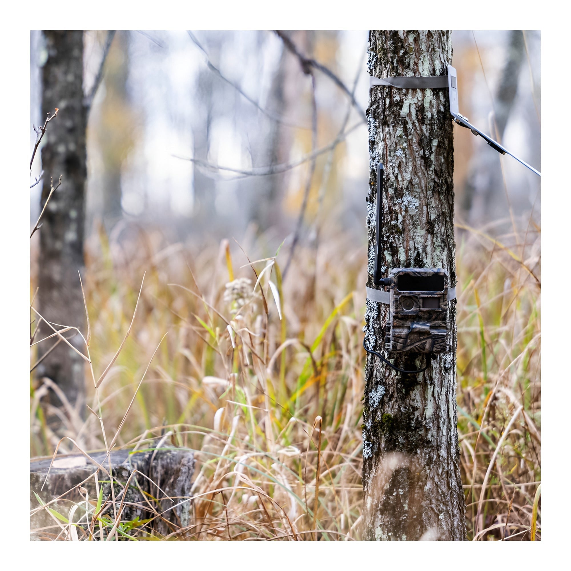 Yellowstone Y2 Cellular Trail Camera Bundle with High-Speed Card Reader, and Accessories (10-Pack)