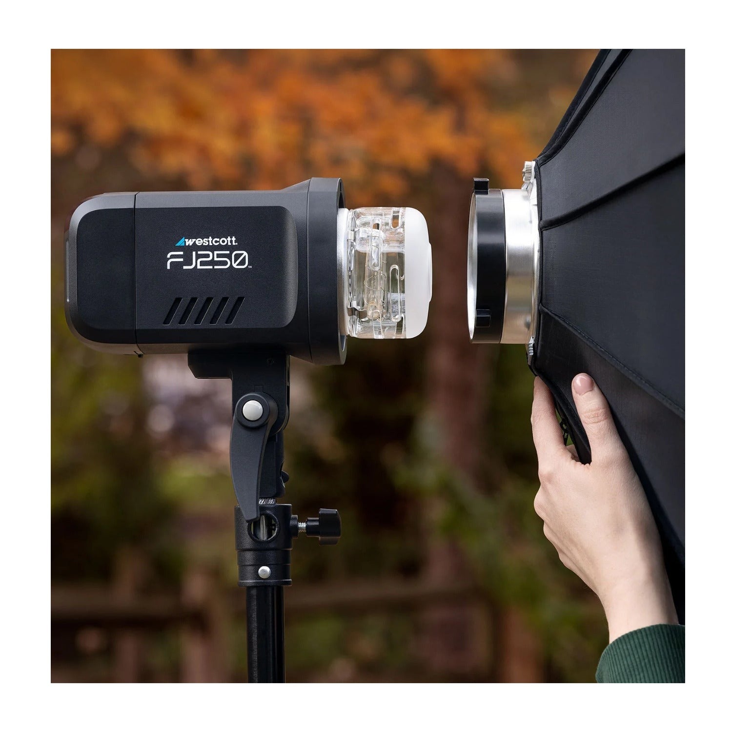 Westcott FJ250 Strobe 2-Light Backpack Kit with FJ-X3 M Multi-Brand Wireless Trigger