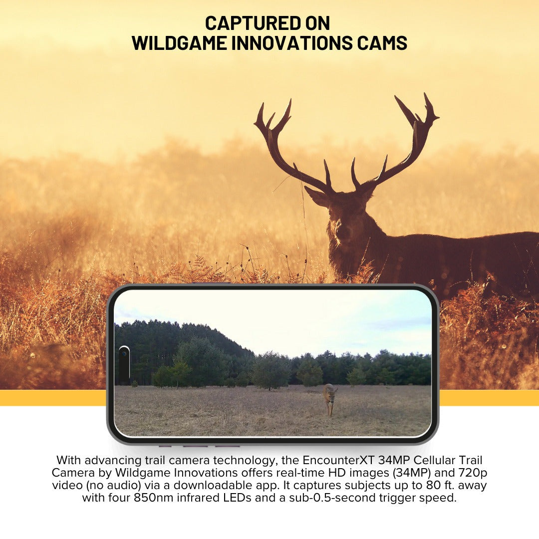 Wildgame Innovations Encounter XT Cellular 26MP Trail Camera with 720p Video (2-Pack) Bundle