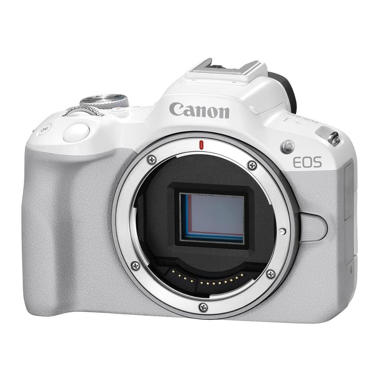 Canon EOS R50 Mirrorless Camera with Memory Card and Gadget Bag Bundle