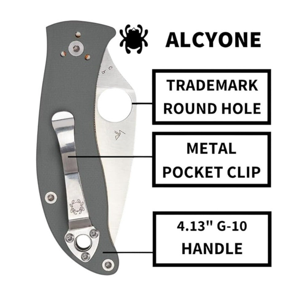 Spyderco Alcyone Gray Folding Knife with CTS BD1 PlainEdge Steel Blade