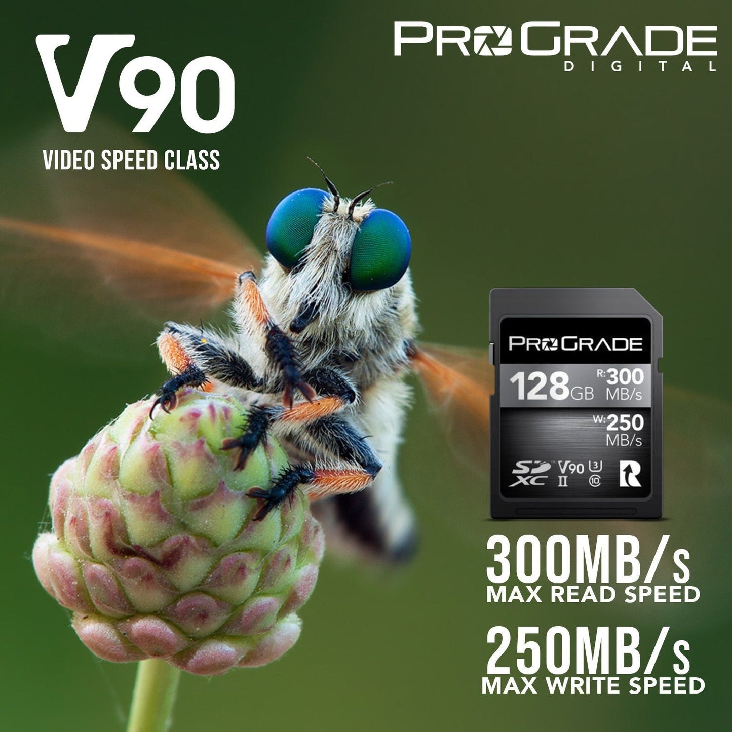 ProGrade Digital 128GB UHS-II V90 SDXC Memory Card