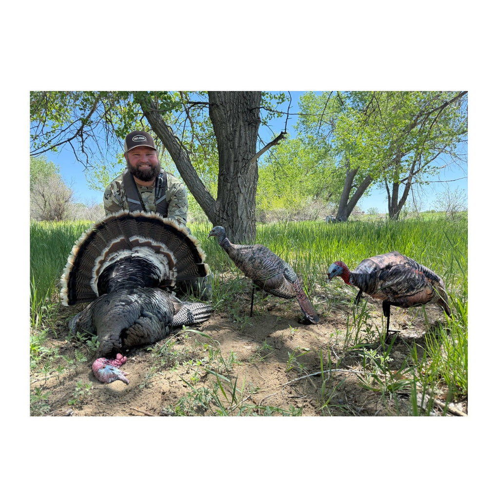 Montana Decoy Purr-Fect Pair XD3 Combo Turkey Decoys with Multiple Pose Options