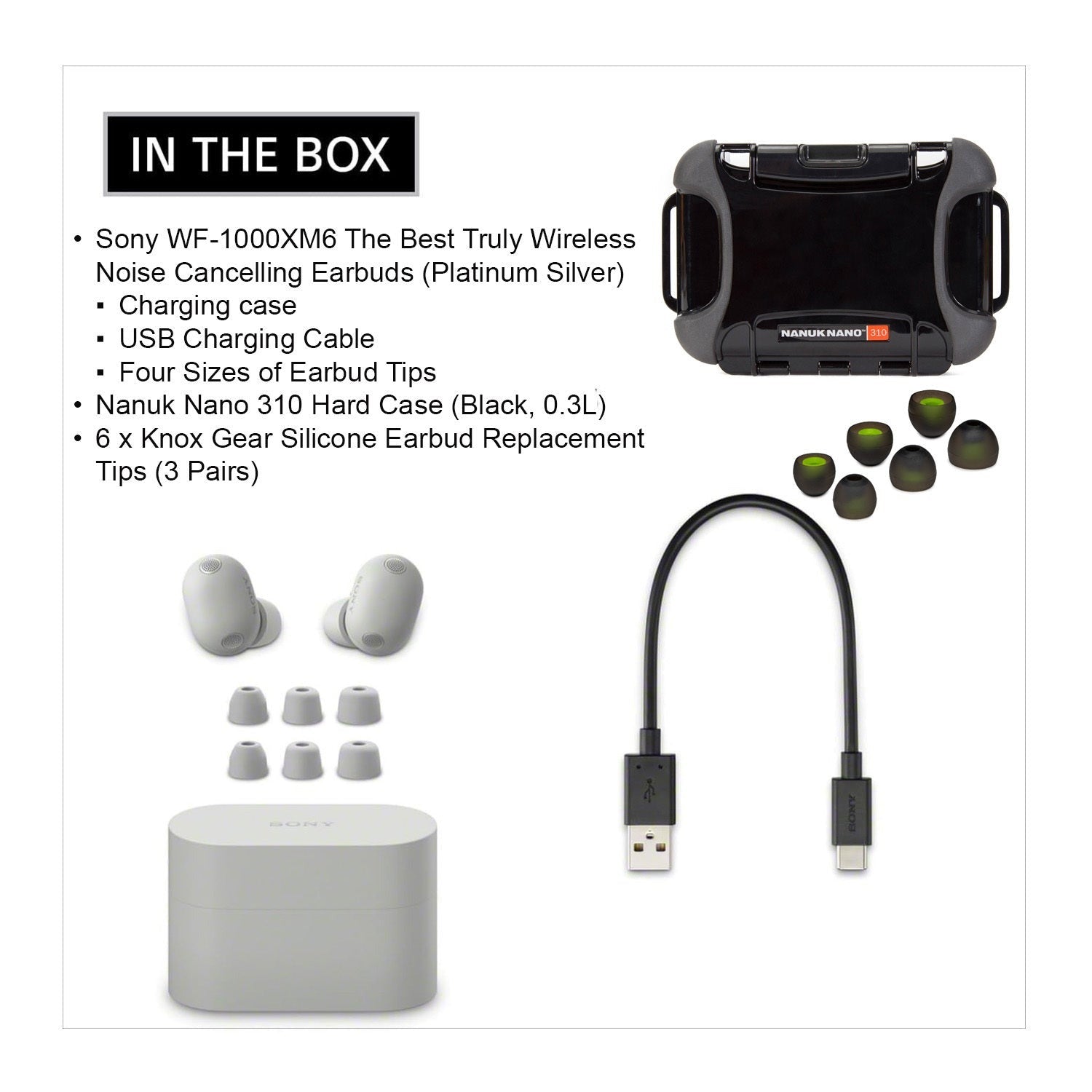 Sony WF-1000XM6 Wireless Earbuds (Platinum Silver) with Hard Case, Earbud Tips