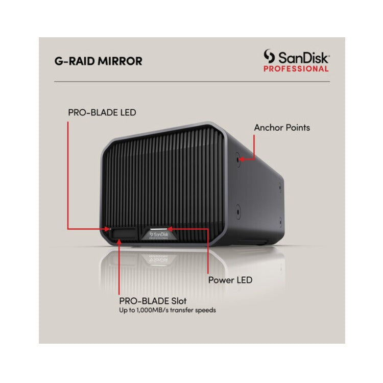 SanDisk Professional 48TB G-RAID Mirror 2-Bay RAID Thunderbolt 3 Array (24TB)