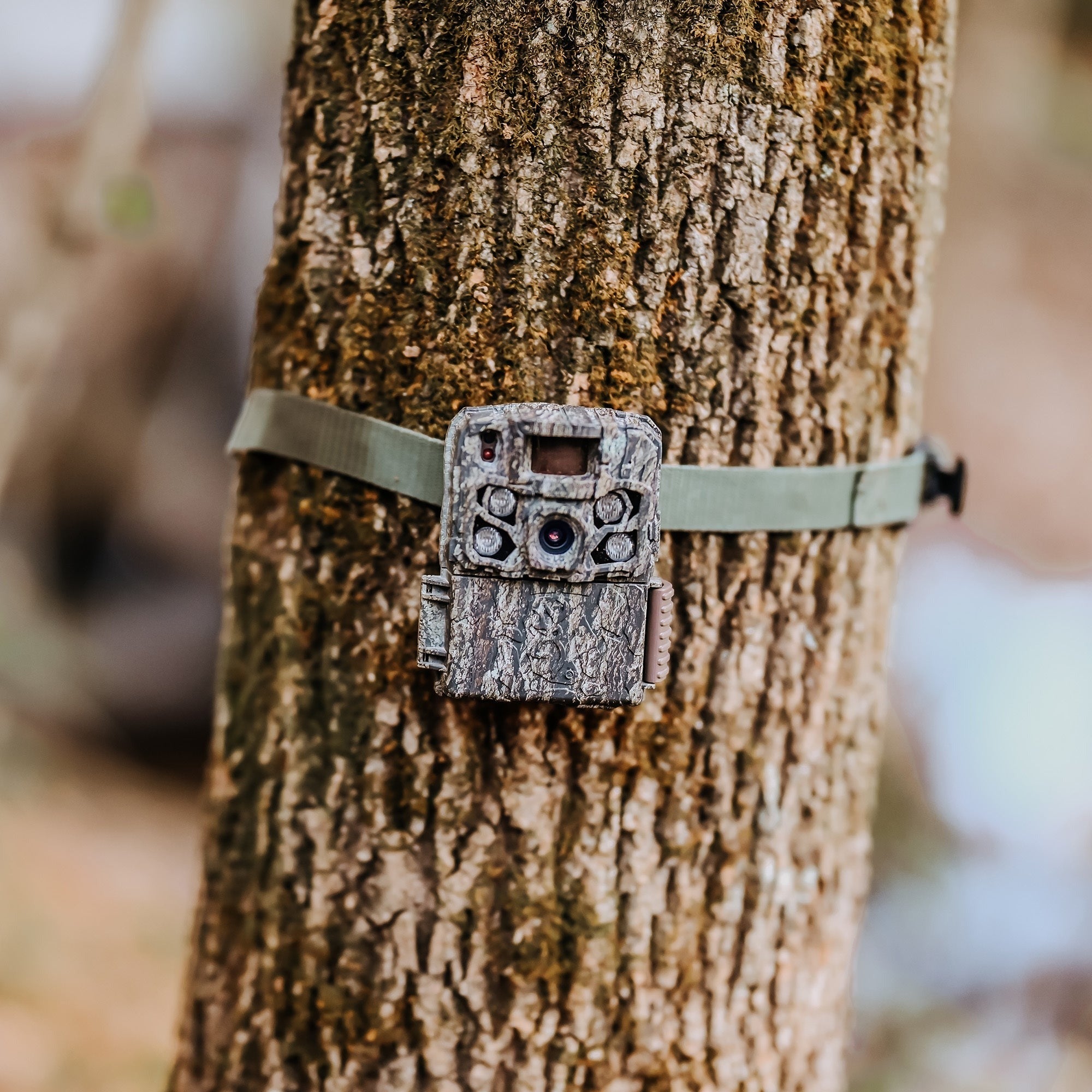 Browning Trail Camera Strike Force FHDR 40MP (10-Pack) with Accessories Bundle