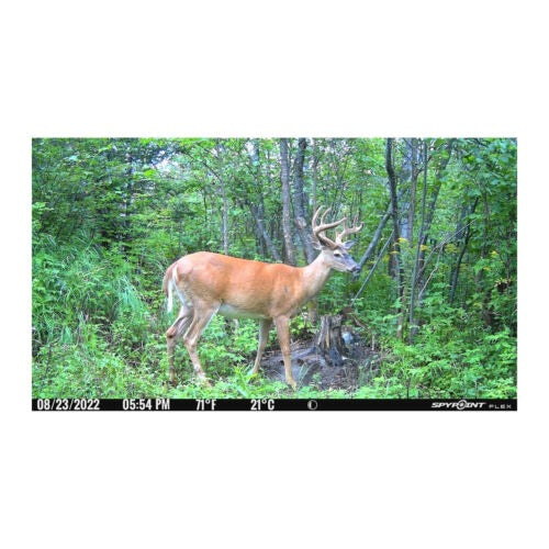 Spypoint FLEX Cellular 33MP, 1080P, Dual-sim Configuration Trail Camera (Gray)