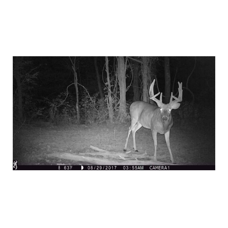 Browning Strike Force Pro X 1080 Trail Camera with Security Box Bundle