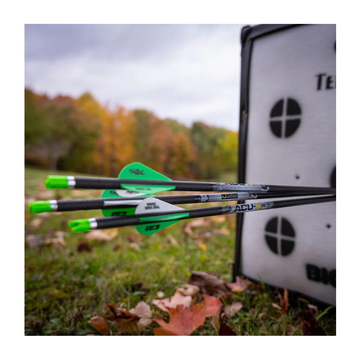 ACU-X Carbon Arrows, 20", .001"