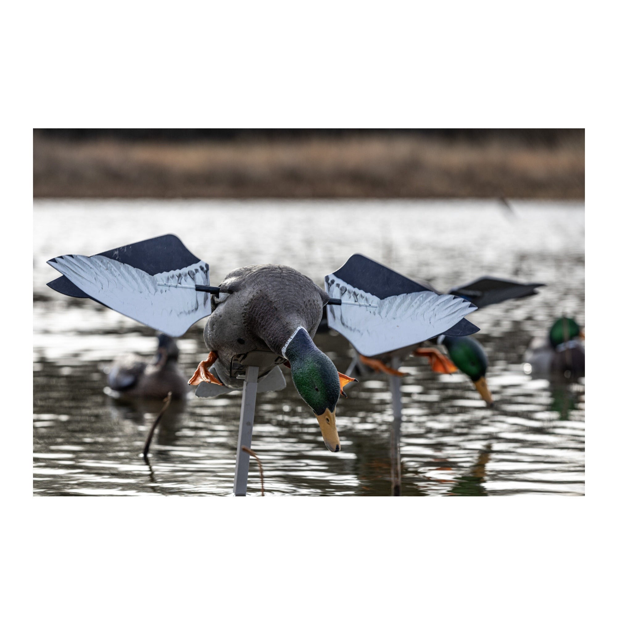 Avian-X PowerFlight Mallard Realistic Motion Decoy for Hardcore Duck Hunters