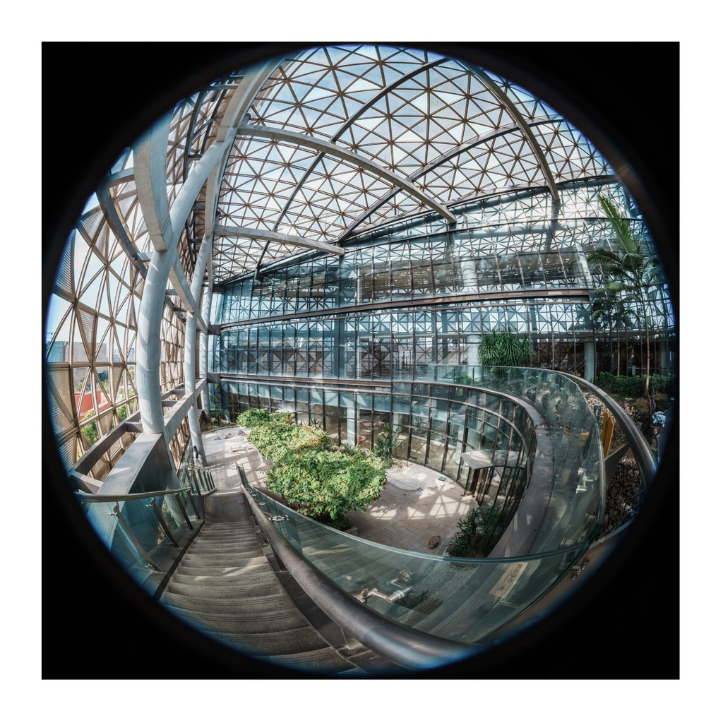 Laowa 4.5-10mm f/2.8 CF Zoom Fisheye Lens with 180-Degree Ultra Wide View, Parfocal Zoom (L-Mount)