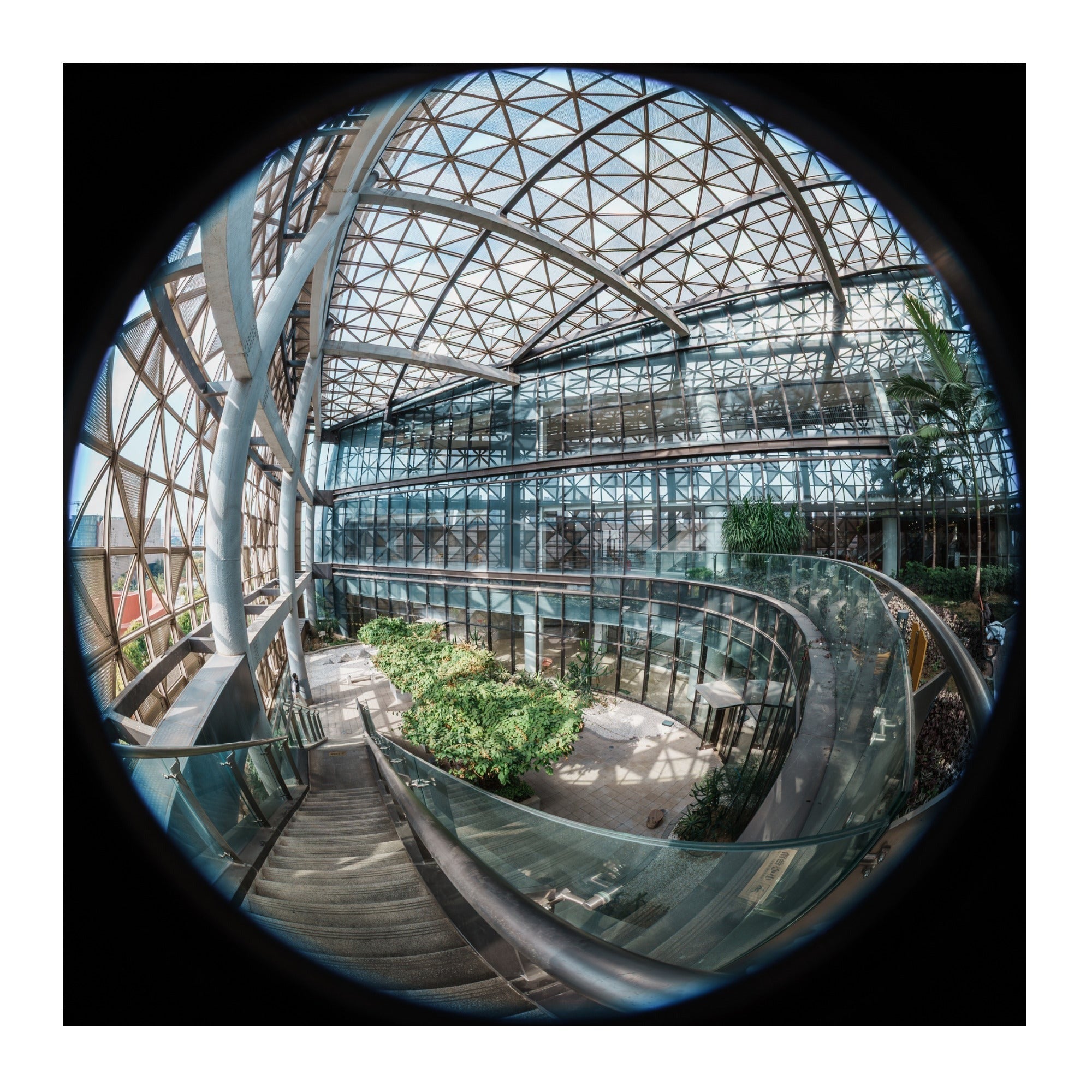 Laowa 4.5-10mm f/2.8 CF Zoom Fisheye Lens with 180-Degree Ultra Wide View, Parfocal Zoom (L-Mount)