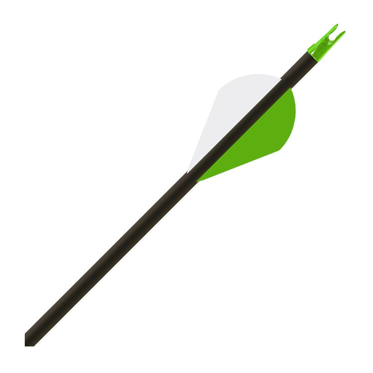 Gold Tip Hunter XT 400 Spine Carbon Arrows with 2 Inch Raptor Vanes (Pack of 6)