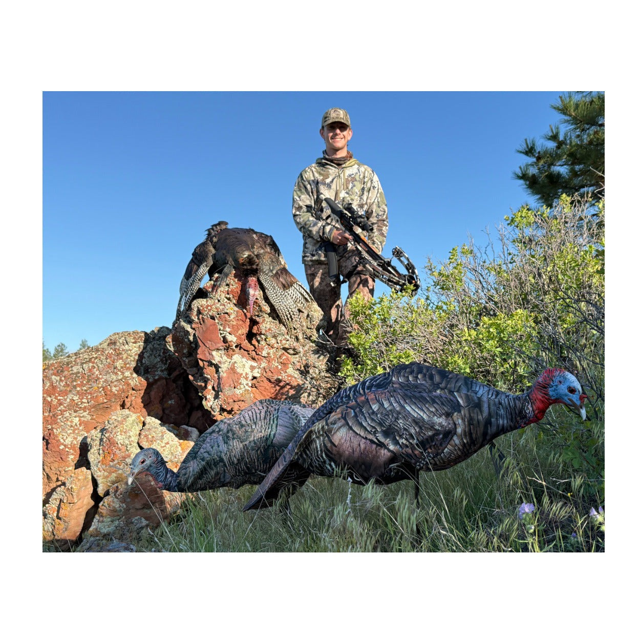 Montana Decoy Jake Purr-Fect XD3 Realistic Turkey Decoy with Magnetic Leg Pole