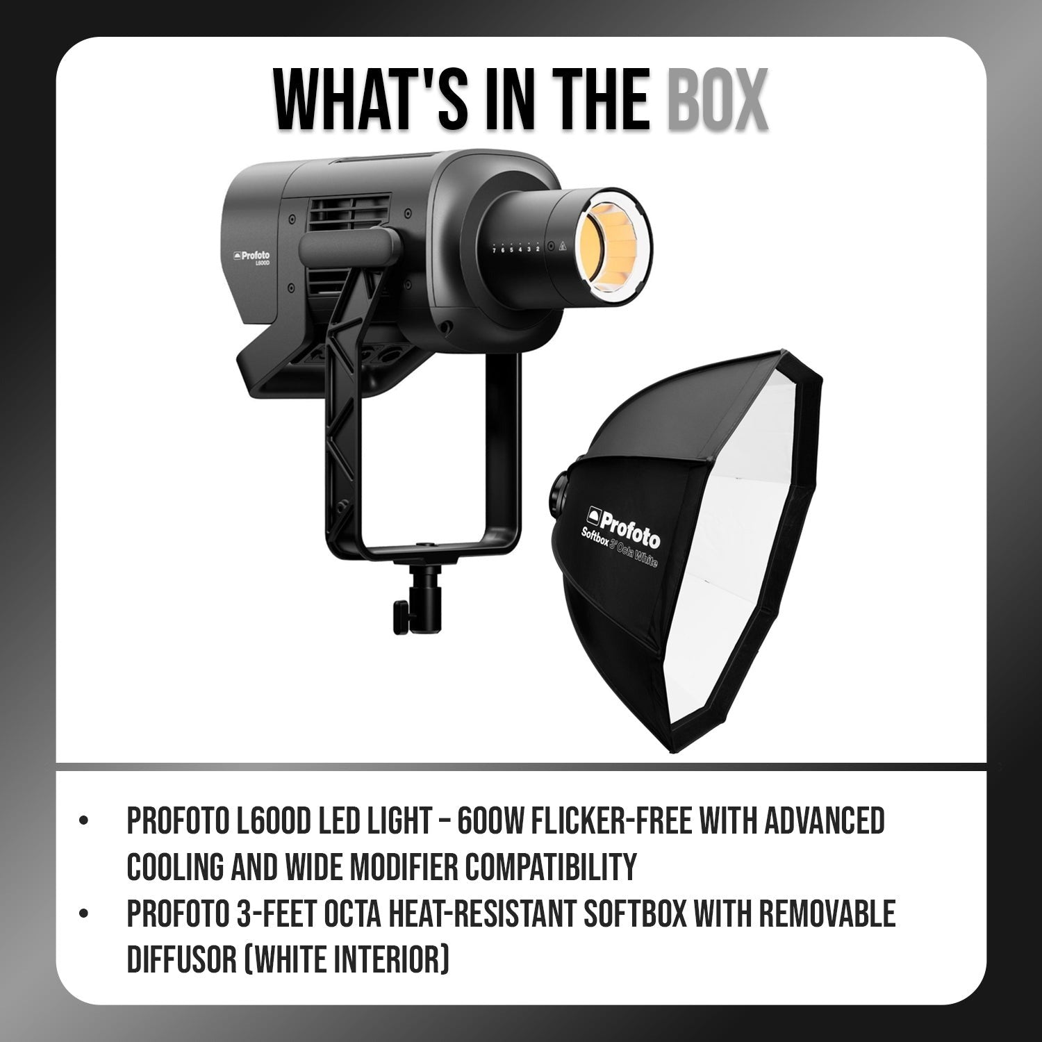 Profoto L600D LED Light Flicker-Free and 3-Feet Octa Heat-Resistant Softbox