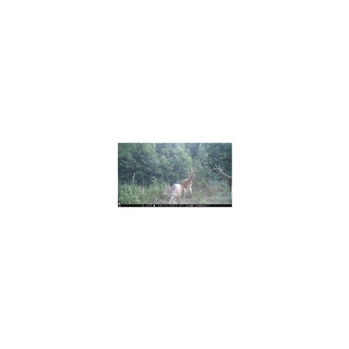 Browning Trail Cameras Strike Force Extreme 16MP Game Camera Bundle