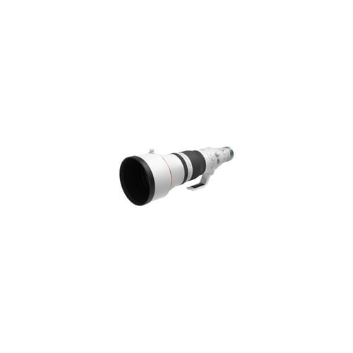 Canon RF 600mm f/4L IS USM Lens