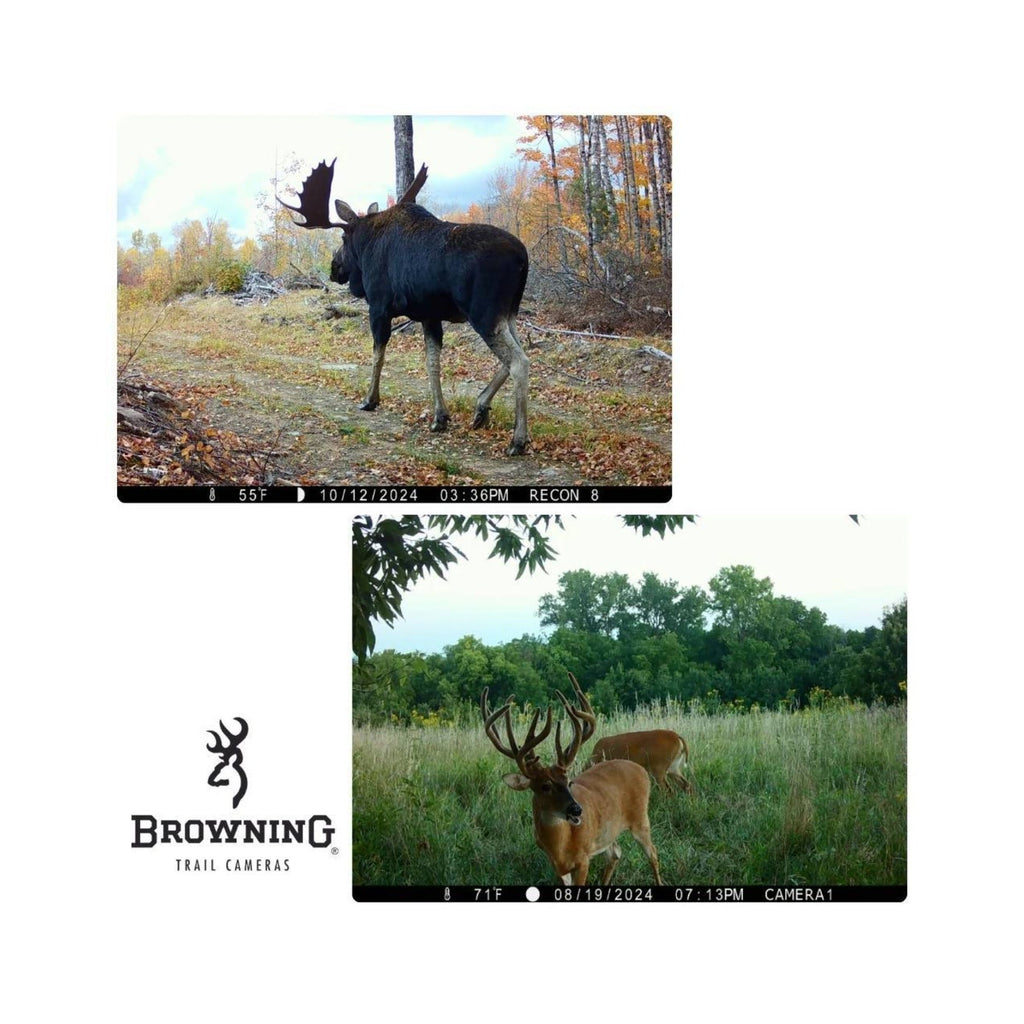 Browning Recon Force Elite Ultra Non-Cellular Trail Camera (10 Pack) Bundle