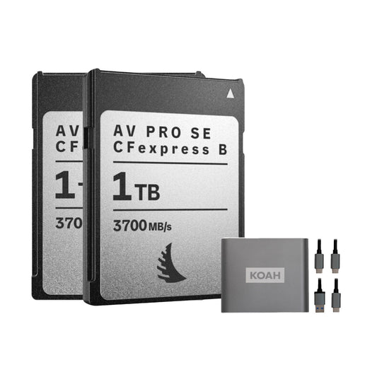 Angelbird AV PRO SE High-Speed Memory Card (2-Pack) Bundle with Reader (3 Items)