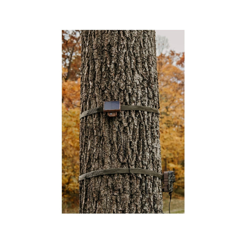 Browning Trail Cameras Universal Solar Camera Power Pack (6-Pack) with Card Reader Bundle