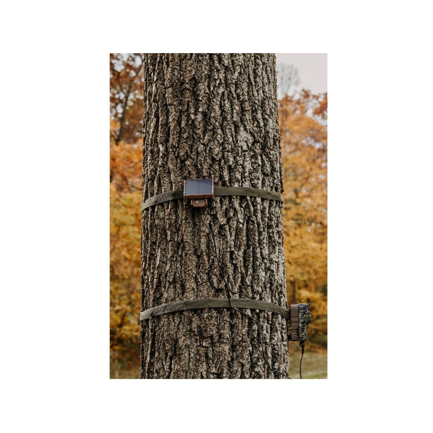 Browning Trail Cameras Universal Solar Camera Power Pack (6-Pack) with Card Reader Bundle