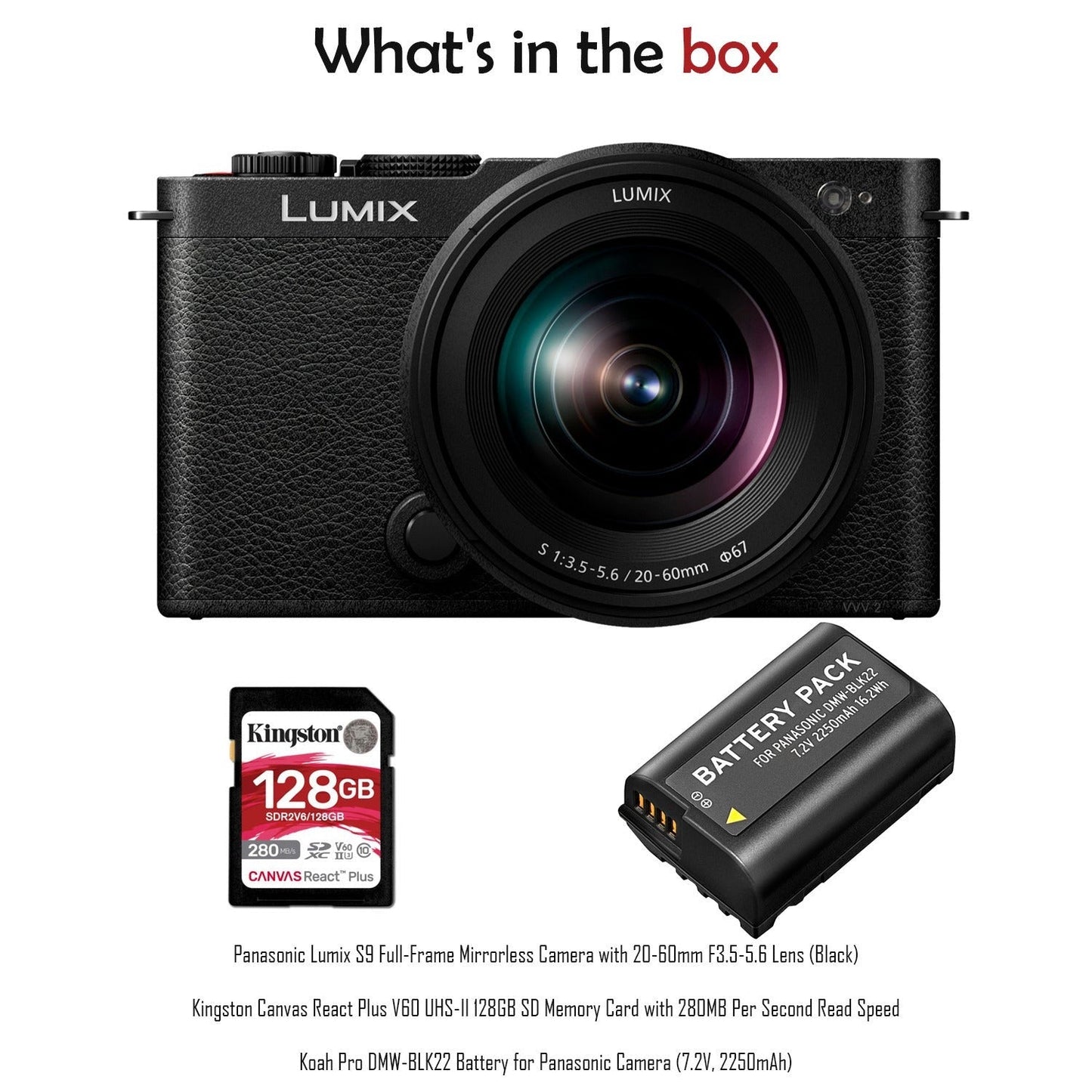 Panasonic Lumix S9 Full-Frame Mirrorless Camera with 20-60mm F3.5-5.6 Lens (Black) Bundle