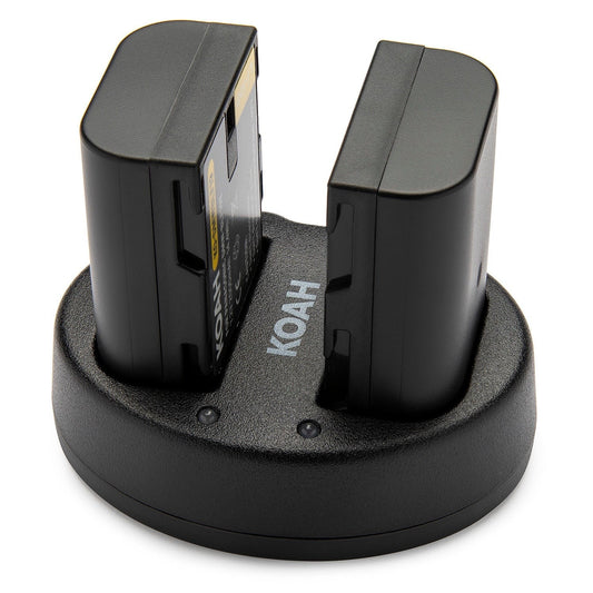 Koah 2000mAh Li-ion Battery for Panasonic DMW-BLF19 (2-pack) with Dual Charger