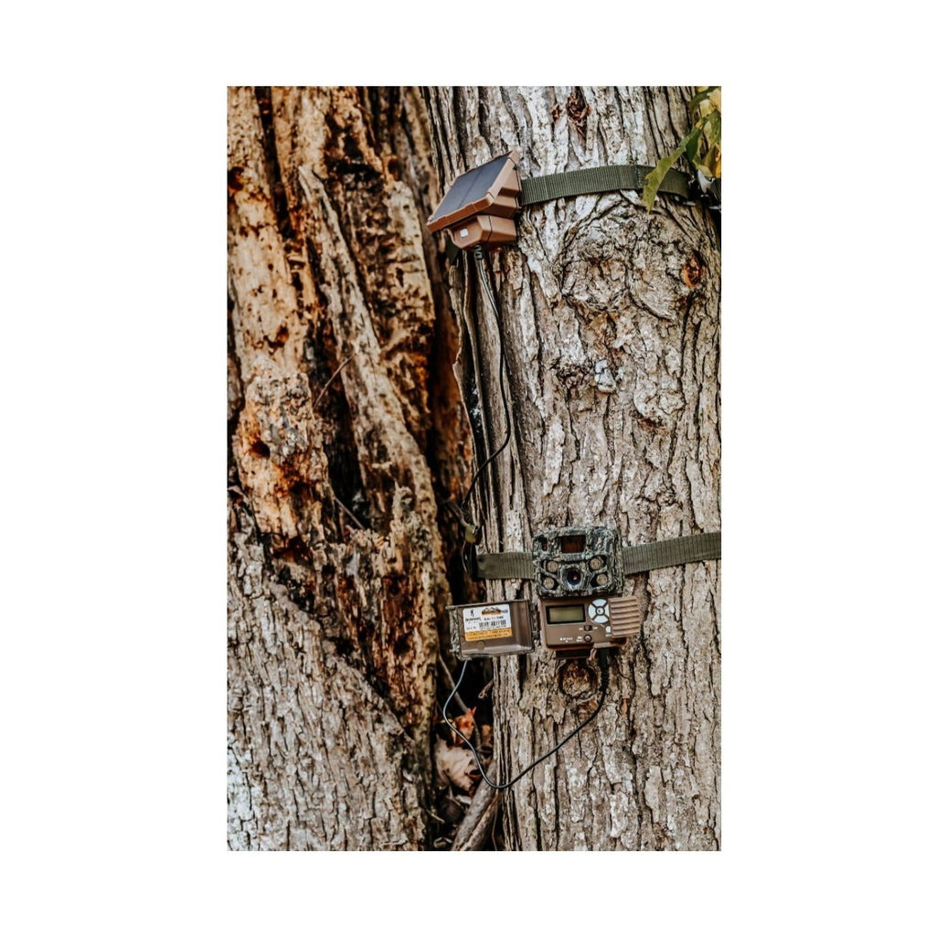 Browning Trail Camera Defender Wireless Pro Scout Max HD-DV (2-Pack) Bundle