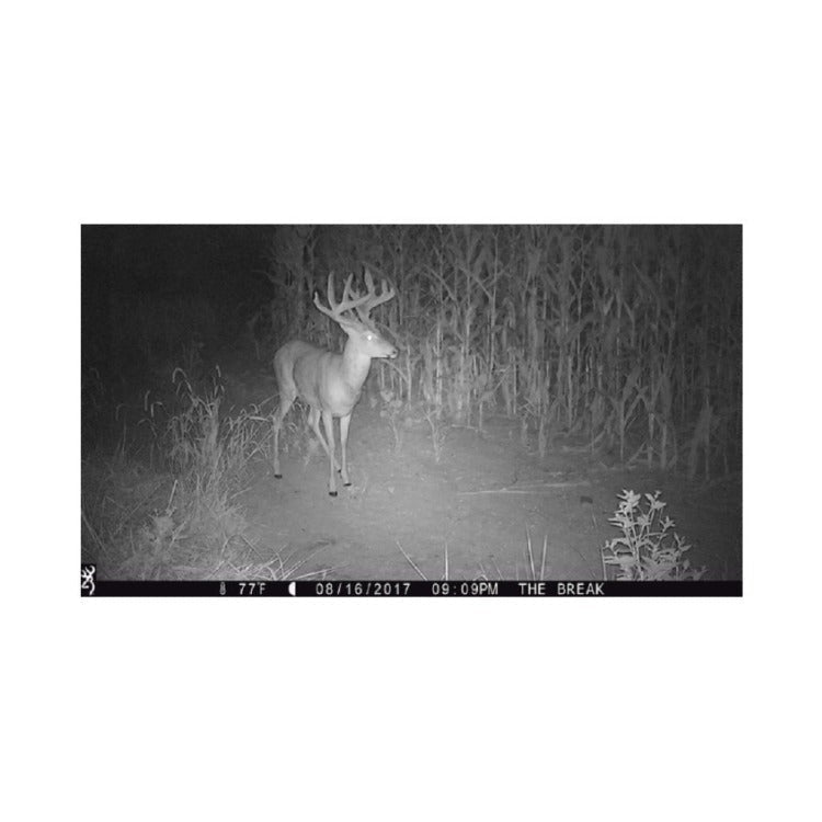 Browning Trail Cameras Strike Force Extreme with 32GB SD Card and Reader