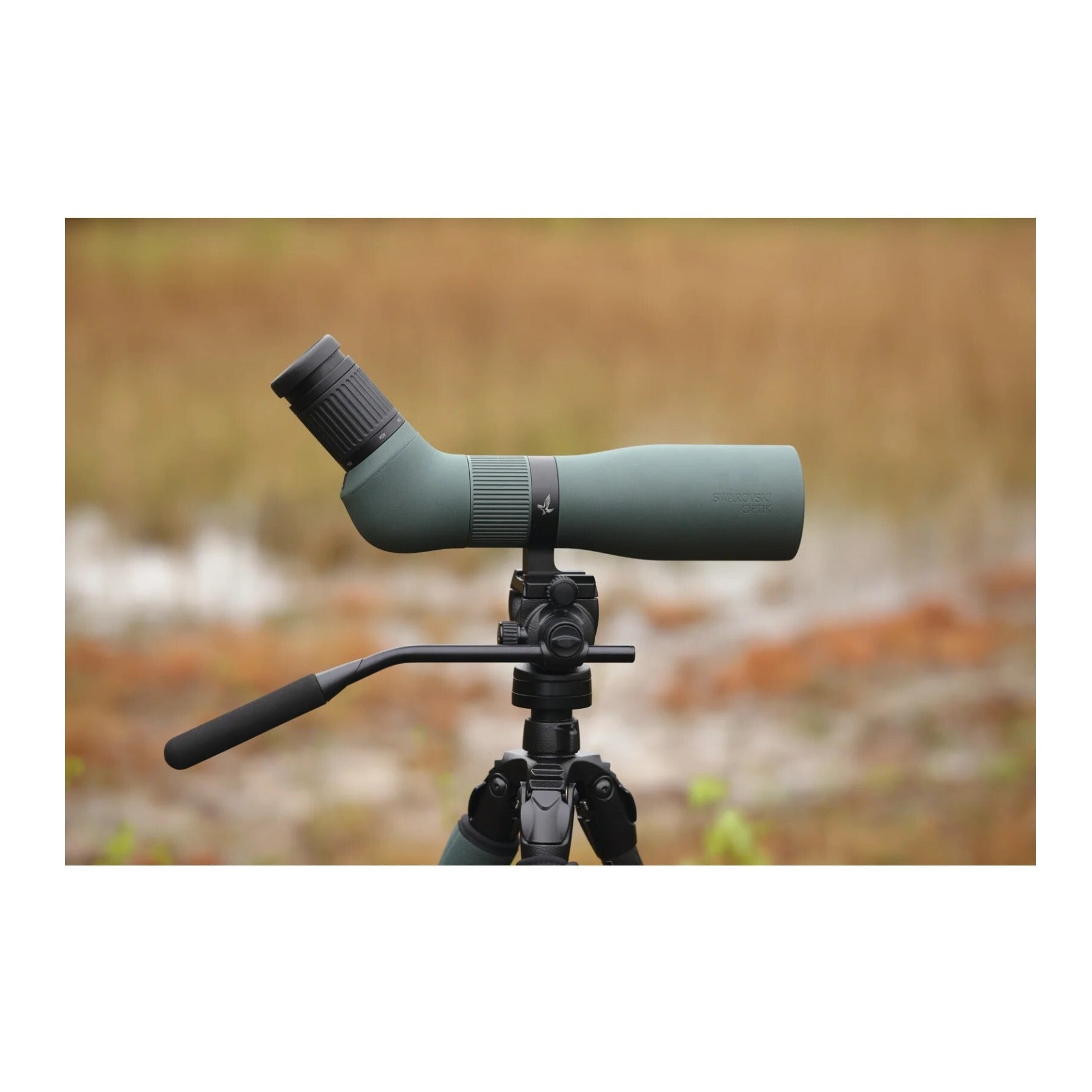 Swarovski AT Endura 21-65x75 HD Spotting Scope for Birding and Wildlife Observation (Green)