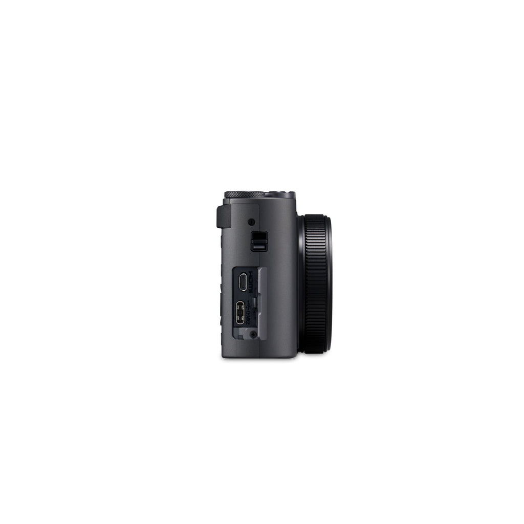 Panasonic LUMIX ZS300 Compact Point and Shoot 4K Digital Camera (Silver)