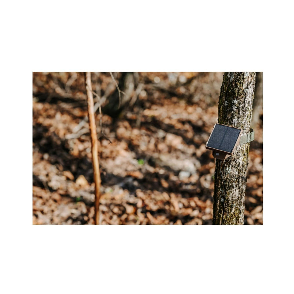 Browning Trail Cameras Universal Solar Camera Power Pack (4-Pack) with Card Reader Bundle