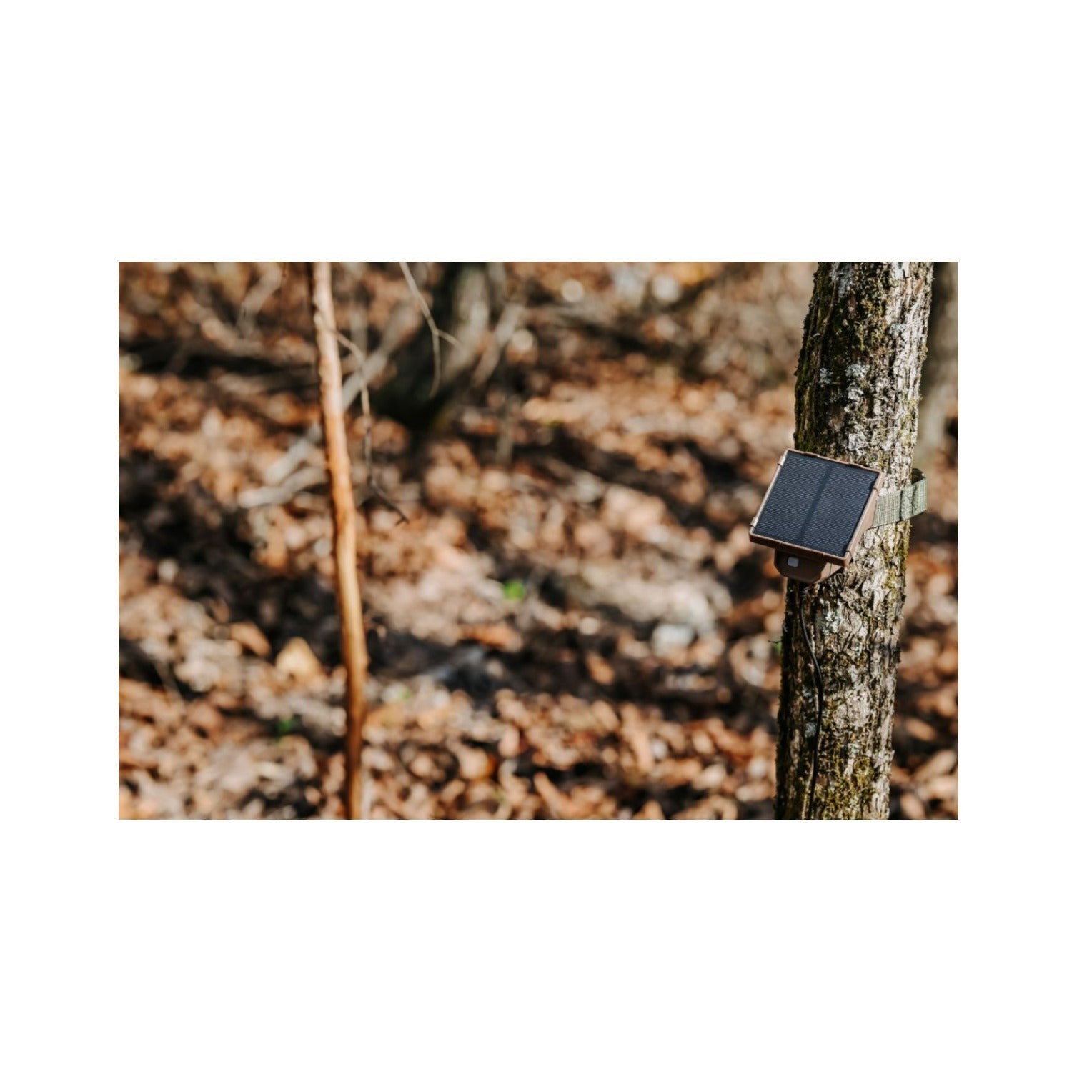 Browning Trail Cameras Universal Solar Camera Power Pack (4-Pack) with Card Reader Bundle