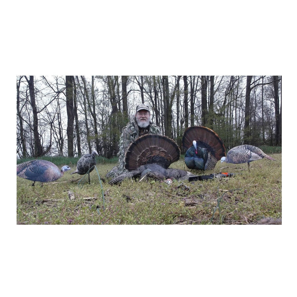 Montana Decoy Spring Fling Turkey Decoy - Foldable and Portable, Photo-Realistic