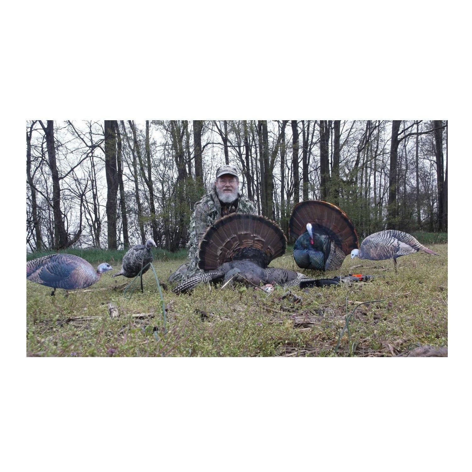 Montana Decoy Spring Fling Turkey Decoy - Foldable and Portable, Photo-Realistic