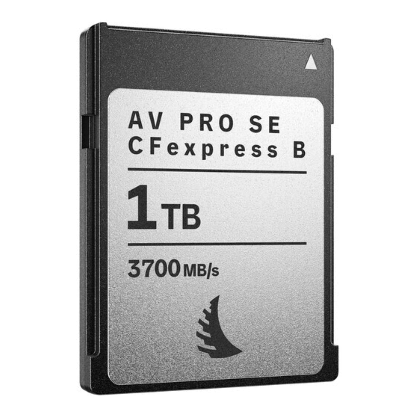 Angelbird AV PRO SE 1TB High-Speed Memory Card Bundle with Reader (2 Items)