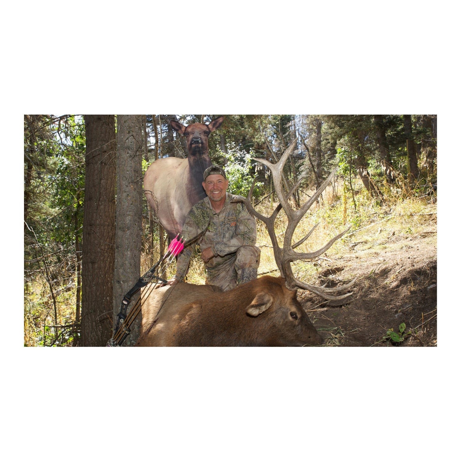 Montana Decoy Eichler Elk - Ultra-Portable, Full-Body Designed by Fred Eichler